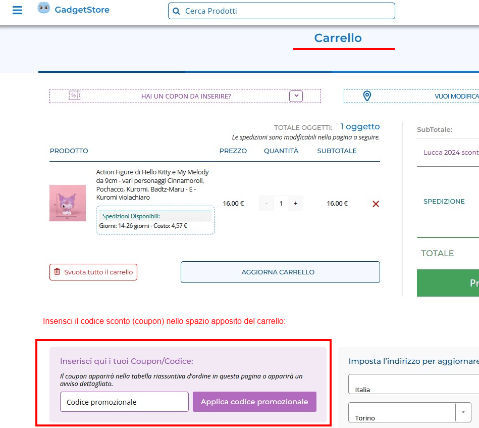 Applicare Sconti e Coupon 41 Dove inserire i Coupon