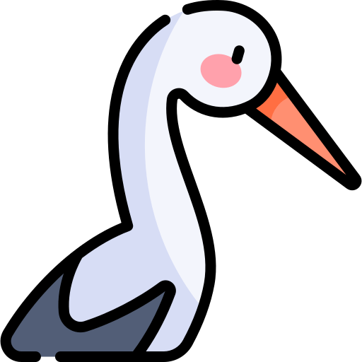 Cicogna